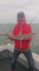 4 lb 5 oz Smooth-hound by John
