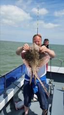 5 lb Starry Skate by Unknown