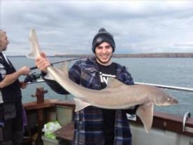 15 lb Smooth-hound (Common) by Carwen
