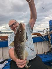 3 lb 6 oz Cod by Unknown
