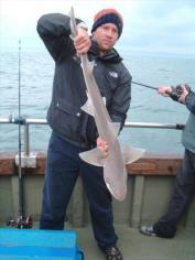 15 lb Smooth-hound (Common) by Unknown