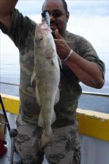10 lb Cod by Cliff