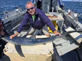 60 lb Blue Shark by Keri