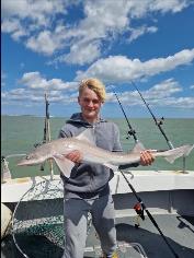 11 lb Smooth-hound by Logen