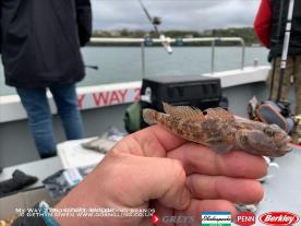 2 oz Black Goby by Graham C