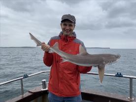 10 lb Smooth-hound (Common) by JC