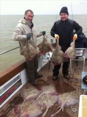 10 lb Thornback Ray by Unknown