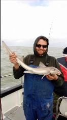 2 oz Smooth-hound by Unknown