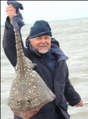 14 lb 7 oz Thornback Ray by Paul Booth
