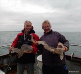 10 lb Bull Huss by Oxford boy + Skipper