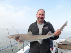 2 oz Smooth-hound by Unknown