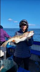 7 lb 10 oz Cod by Unknown