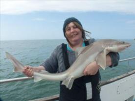 20 lb 10 oz Starry Smooth-hound by Linda Deas