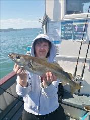 4 lb Pollock by Unknown