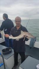 7 lb 12 oz Smooth-hound by Unknown