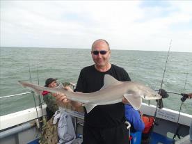 2 oz Starry Smooth-hound by Unknown