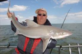 20 lb Smooth-hound (Common) by Gary Hooper