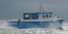 Bluefin