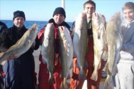 23 lb Cod by A good Group