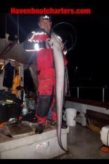 37 lb Conger Eel by JG the Beastmaster