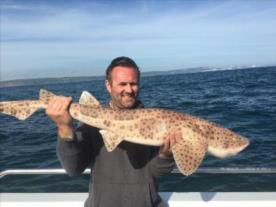 14 lb 7 oz Bull Huss by Daz Miles