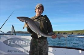 12 lb Starry Smooth-hound by Tom