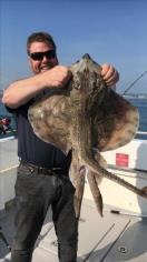 11 lb Undulate Ray by Unknown