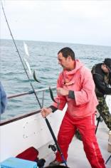 8 oz Mackerel by Barry