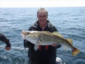 13 lb Cod by Les Fitch