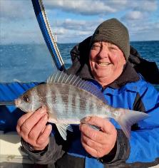 1.5 Kg Black Sea Bream by George G