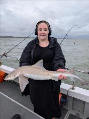10 lb Smooth-hound by Unknown