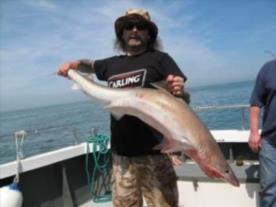 53 lb Tope by Charlie Potter