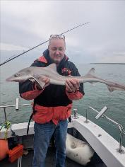 6 lb Smooth-hound by George