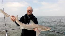 2 oz Smooth-hound by Unknown