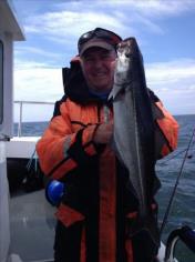 6 lb Coalfish (Coley/Saithe) by John Austin