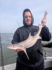 5 lb Smooth-hound by Waz
