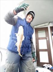 2 oz Cod by Unknown