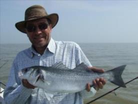4 lb Bass by nick