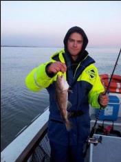 1 lb Cod by Scott Belbin