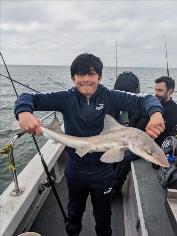 5 lb Smooth-hound by Percy