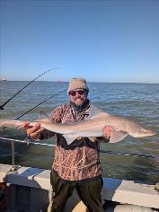 8 lb Starry Smooth-hound by Tom