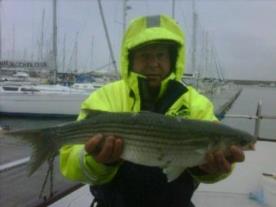 5 lb 4 oz Thick-Lipped Grey Mullet by Ziggy