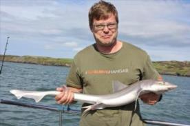 6 lb Starry Smooth-hound by Simon