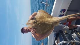22 lb Blonde Ray by Frosty