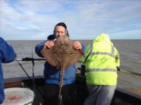 7 lb Thornback Ray by Lucky Liths