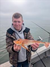 1 lb 5 oz Tub Gurnard by Wobbly