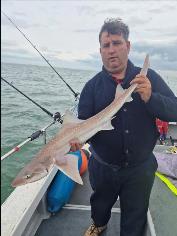 5 lb Starry Smooth-hound by George