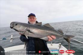 7 lb Coalfish (Coley/Saithe) by Peter