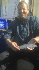 7 oz Herring by Unknown