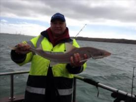 5 lb Smooth-hound by CC